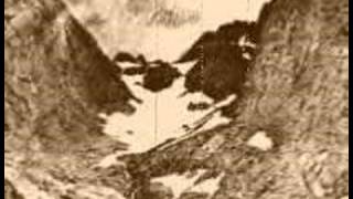 Inn i De Dype Skogers Favn