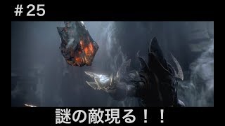 #25  ディアブロ３【夫婦実況】【協力プレイ】