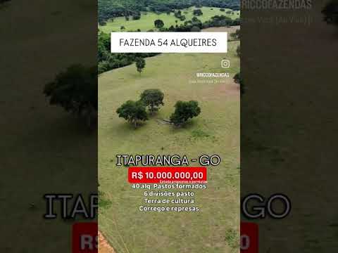 Terra de cultura 54 alqueires em Itapuranga-Go | whatsapp 62 99373-6407