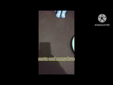 Dad Cat love with her child😍before loss 😰