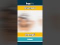 shampoo - champú video thumbnail