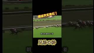 兄弟の絆