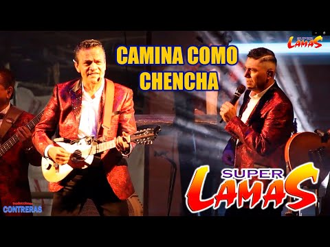 CAMINA COMO CHENCHA - SUPER LAMAS - KANTUNIL YUCATÁN