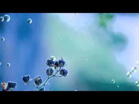 ☆ Chci tě líbat - Michaela Sahul ☆ [HD]