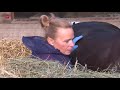 10.000 euro opgehaald voor manege na uitbraak dodelijk virus