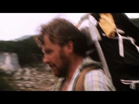 Horst Stern - Bemerkungen über Gemsen