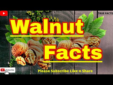 , title : 'Health Benefits of Walnuts | Did you know Facts about Walnuts? | True Facts'