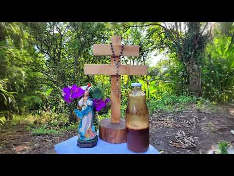 Hinário de João Pedro - O Menino Jesus - Santo Daime