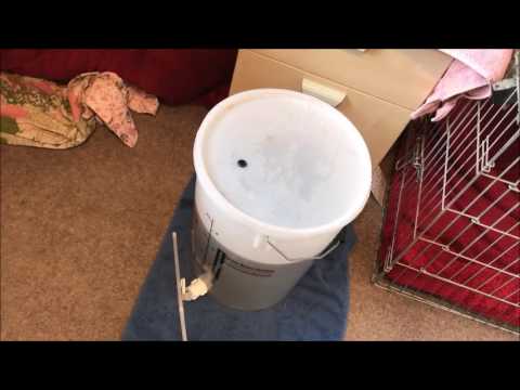 Ozzy Brew - Youngs American Mocha Porter Brewday, plus "Thanks Ant Rogerson"