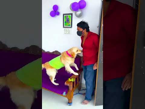 Ayakkabı MESELESİ 🫢😒