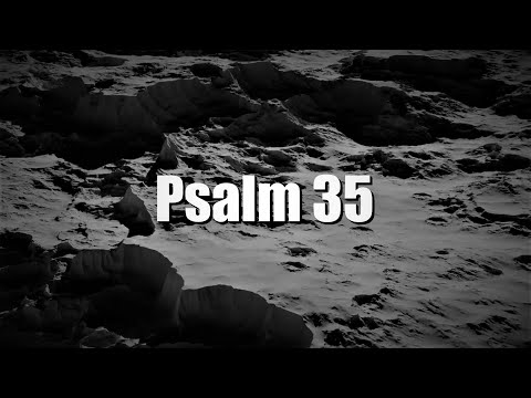 Psalm 35