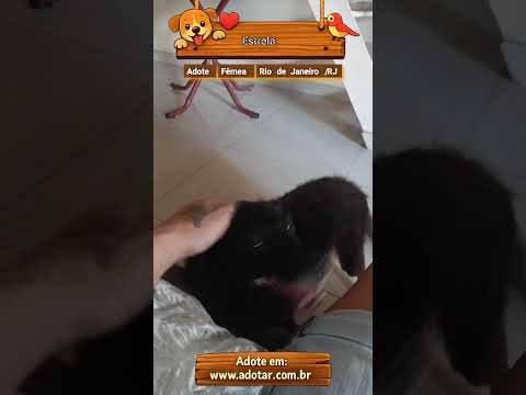Vídeo de Estrela