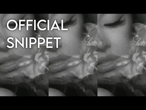 Ariana Grande - hate that i made you love me (official snippet)