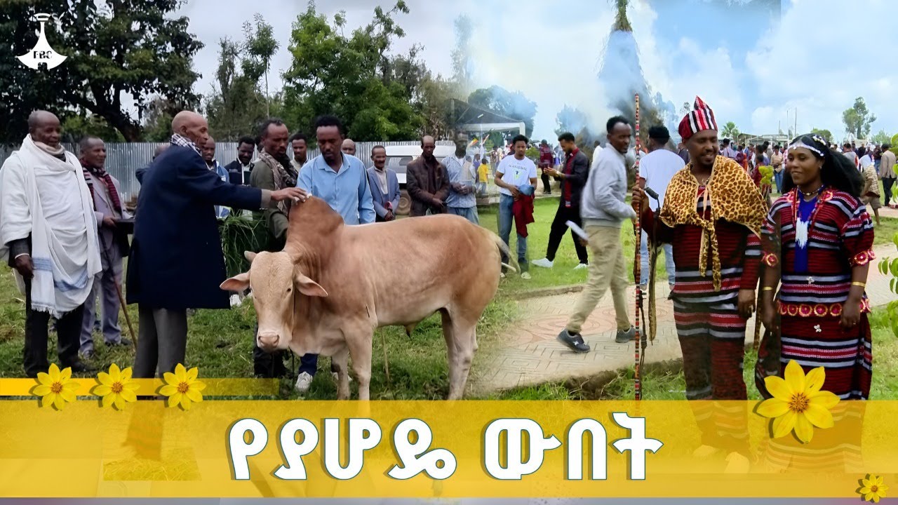 የሃድያ ብሔር ዘመን መለወጫ  ያሆዴ ETV | EBC | EBCDOTSTREAM