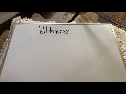 Hebrew Word Study: Wilderness