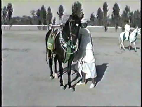 Malik Muhammad Khuda yar khan Bhachar ghora fansoos sargodha mela mandi 1989-90