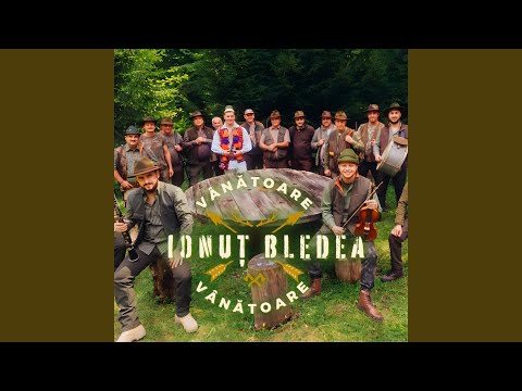 Vânătoare, Vânătoare