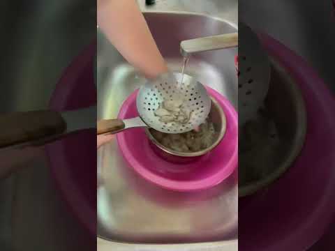 蚵仔洗乾淨，對偶爾過敏的人來說，會降低機率喔。我兒子吃外面的會過敏，在家煮的就不會。#蚵仔 #food #料理 #cooking