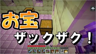 【マイクラJE】予備のエリトラが欲しい！エンドへ行こう！お宝から神エンチャのツールが！ part113【ひまねこ2020】