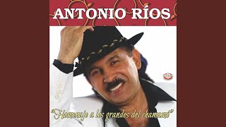 Río Rebelde Lyrics English Translation