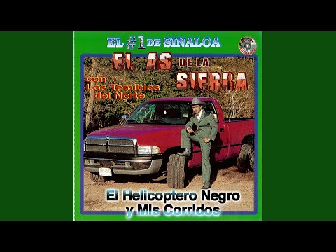 download lagu mp3 mp4 Abel Moreno, download lagu Abel Moreno gratis, unduh video klip Abel Moreno