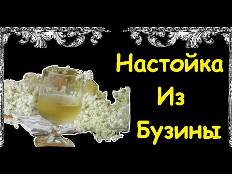 Настойка Из Бузины / Книга Рецептов / Bon Appetit