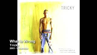 Tricky - What Is Wrong [2003 - Vulnerable]