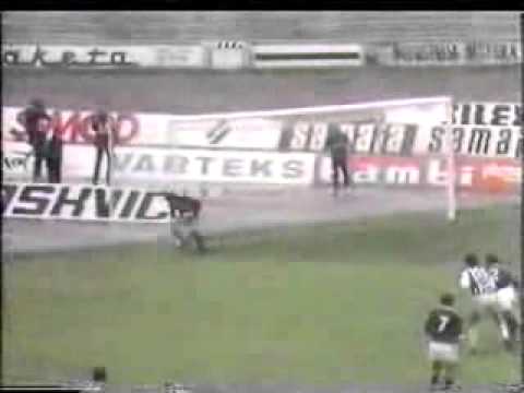 1983 PFC Sarajevo 2 0 Zivkovic x 2