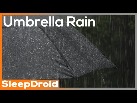 ► Rain on an Umbrella ~Rain Sounds for Sleeping, Light Rain Under an Umbrella (Lluvia Para Dormir)