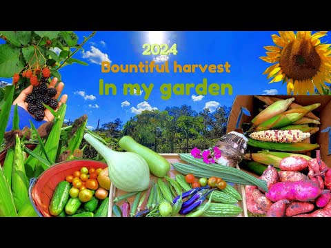 Relaxing Garden Harvest | 2024 | ASMR
