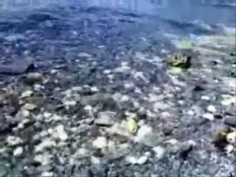 san juan beach - porto gualberto