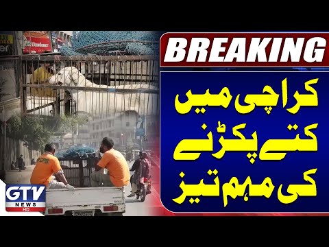Karachi’s Intensified Dog Catching Campaign | Breaking News | GTV Network