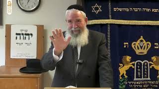 הרב יגאל לרר | מסכת גיטין | מהי קדושת סוריה? | כ"ד תמוז תשפ"ה | ישיבת מרכז הרב (ישיבת מרכז הרב) - התמונה מוצגת ישירות מתוך אתר האינטרנט יוטיוב. זכויות היוצרים בתמונה שייכות ליוצרה. קישור קרדיט למקור התוכן נמצא בתוך דף הסרטון הרב יגאל לרר | מסכת גיטין | מהי קדושת סוריה? | כ"ד תמוז תשפ"ה | ישיבת מרכז הרב (ישיבת מרכז הרב) - התמונה מוצגת ישירות מתוך אתר האינטרנט יוטיוב. זכויות היוצרים בתמונה שייכות ליוצרה. קישור קרדיט למקור התוכן נמצא בתוך דף הסרטון