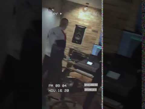 Kizo x Floral Bugs SNIPPET