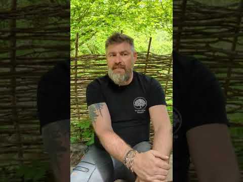 Play Video Youtube Video