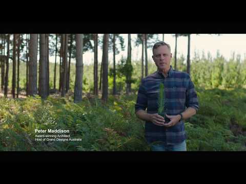 Softwood trees - The Ultimate Renewable™ 15 sec video