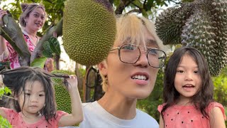 VƯỜN SẦU RIÊNG CỦA BA VỢ MÌNH TO THẬT SỰ -  GARDEN IS REALLY BIG