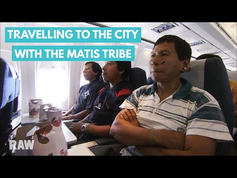 The amazing journey of the Matis people to the city | BRAZIL