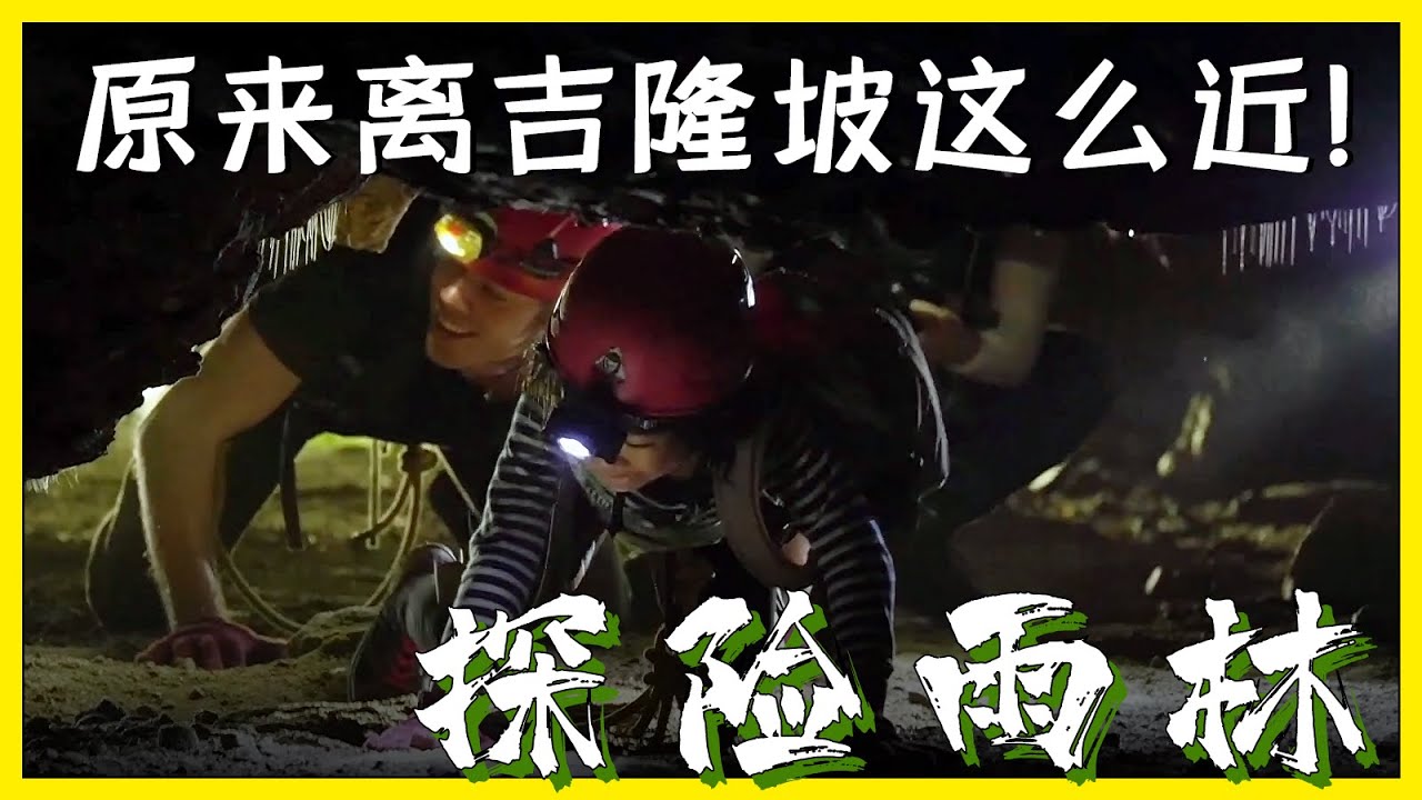 在马来西亚吉隆坡景点黑风洞背后的雨林探险，原来有这么多好玩的东西呢丨【探透】 第一季 2期