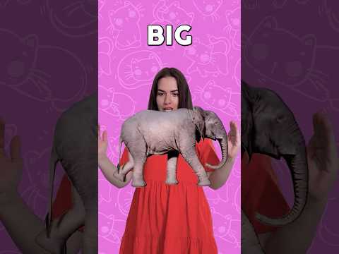 İngilizce'de Zıt Kelimeler 1 #ingilizce #zıtkelimeler #çocuk  #okulöncesi #eğitim