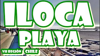 preview picture of video 'Playa de Iloca Septima region de Chile  fecha 26 02 2011'
