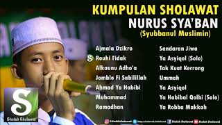 Kumpulan Sholawat Nurus Syaban (Syubbanul Muslimin