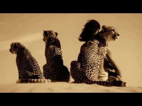 Cicatrices video