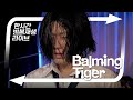 바밍타이거의 한시간반복재생라이브 Big Butt 외 15곡