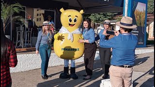 RETROSPECTIVA 2023 CACHOEIRA DO SUL