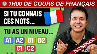 Si tu connais ces Mots tu as un Niveau A1, A2, B1, B2, C1, C2 en Français ! (COMPILATION)