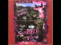 Ariel Pink's Haunted Graffiti - Passing the Petal 2 ...
