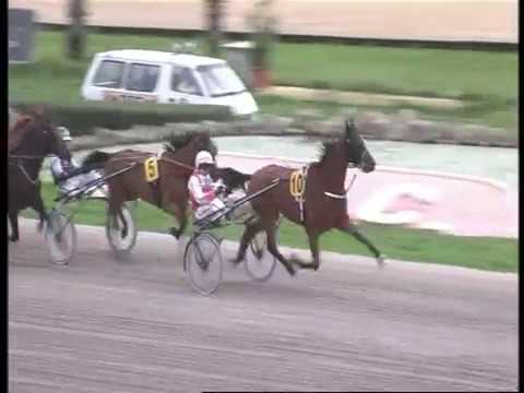 www.kennethvella.com Meeting (60) Date 13-12-2019 Race 1,2,3,4,5,6,7,8,9,10