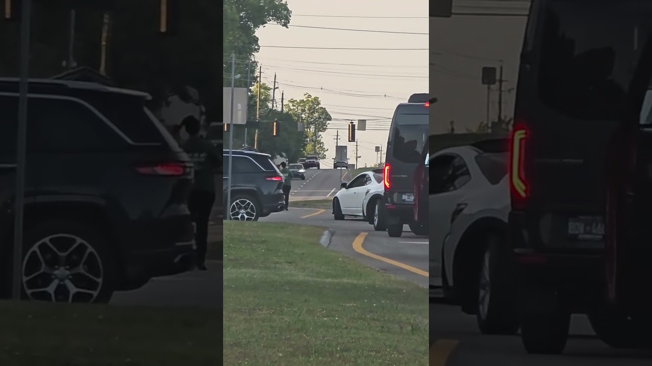 Horse Loose on the Parkway in the Great Smoky Mountains || ViralHog