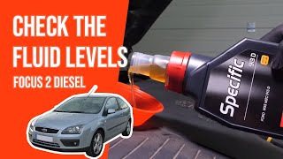Youtube thumbnail of video "How to check the fluid levels Focus 2 1.8 TDCI 📏"